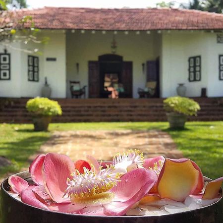 Templeberg Bed & Breakfast Walahanduwa Ngoại thất bức ảnh