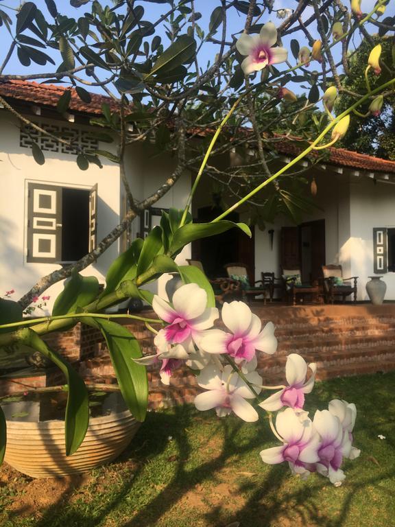 Templeberg Bed & Breakfast Walahanduwa Ngoại thất bức ảnh