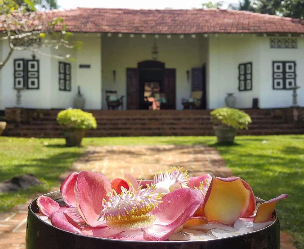 Templeberg Bed & Breakfast Walahanduwa Ngoại thất bức ảnh