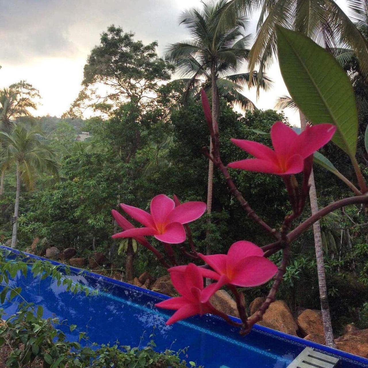 Templeberg Bed & Breakfast Walahanduwa Ngoại thất bức ảnh